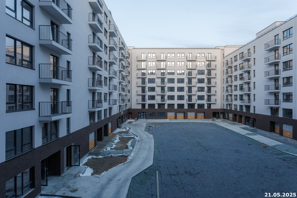 27 мая 2025