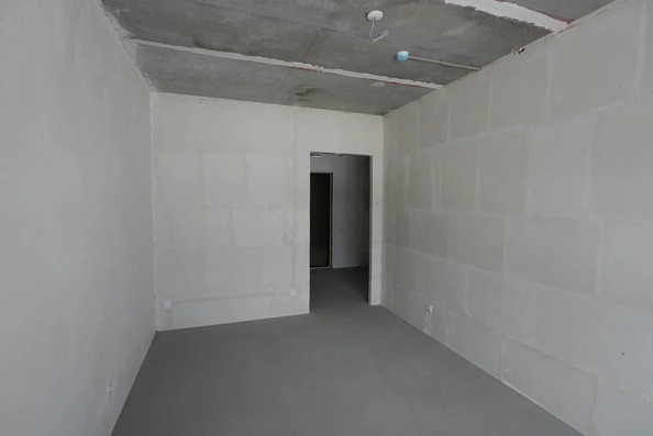 25 ноября 2025