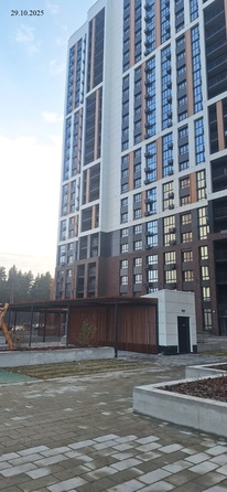 29 октября 2025