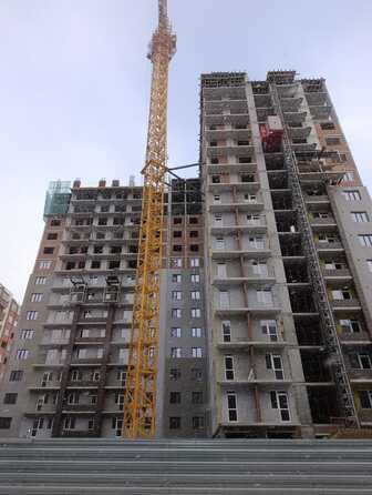 12 ноября 2025