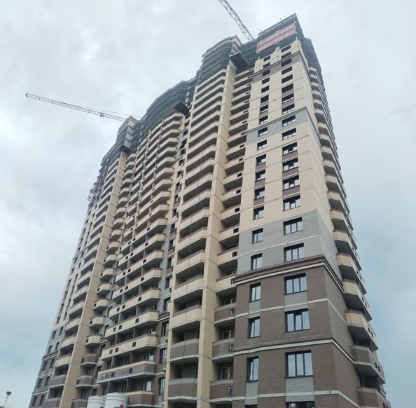 5 июня 2025