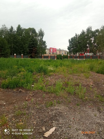 24 июня 2025