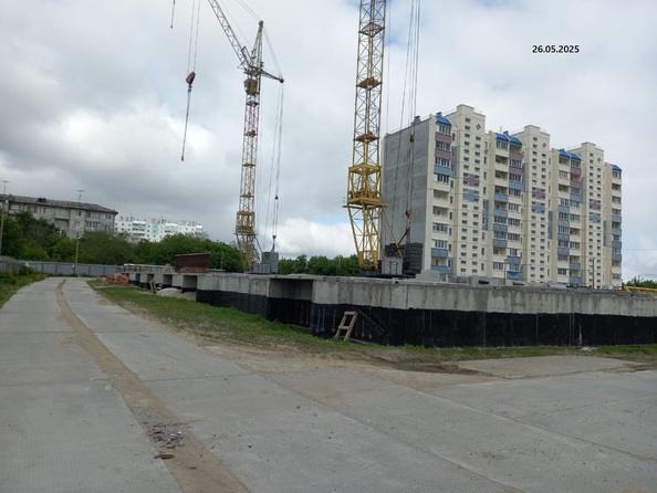 26 мая 2025