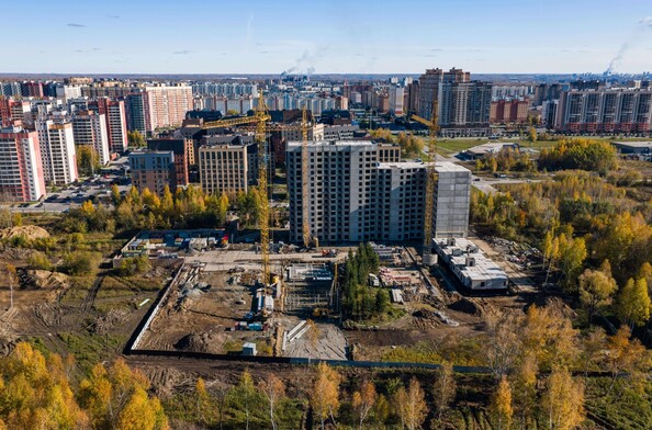 24 октября 2025