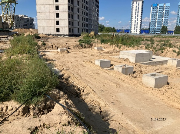 25 августа 2025