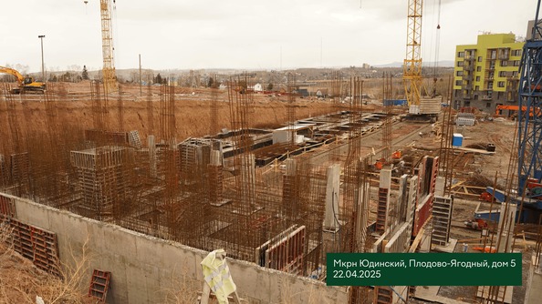 24 апреля 2025