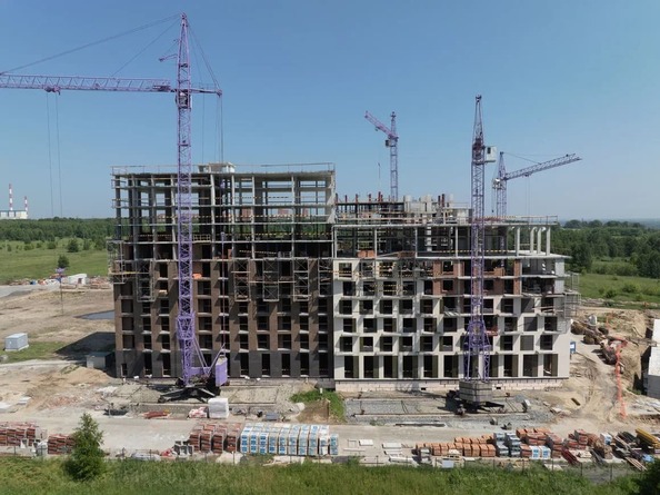 24 июня 2025