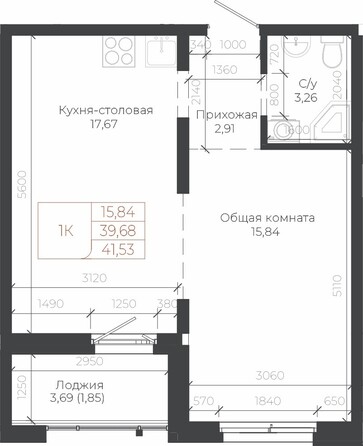 Планировка 1-комн 41,53 м²