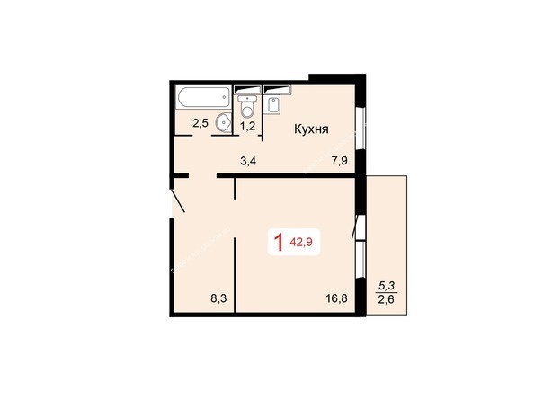 Планировка однокомнатной квартиры 42,9 кв.м