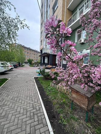
  Продам 1-комн. квартиру, 55.2 м², Партизана Железняка ул, д. 19а
. Фото 14.