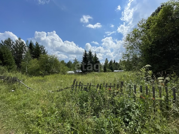 
  Продам  дачный участок, 9.1 соток, Арейское село

. Фото 3.
