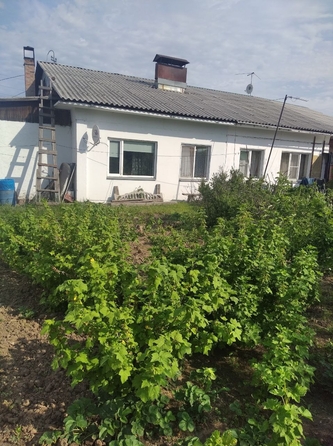 
  Продам дом, 92.9 м², деревня Киндяково
. Фото 16.