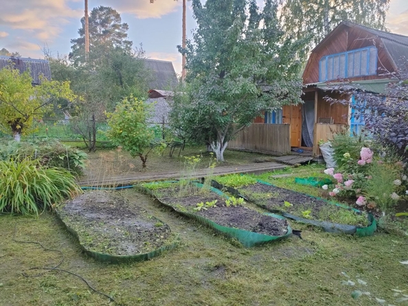 
  Продам дачу, 35 м², СНТ Верба (ст. Калягино)
. Фото 4.