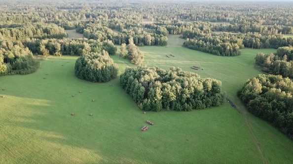 
  Продам земельный участок, 1050 соток, деревня Подолка
. Фото 3.