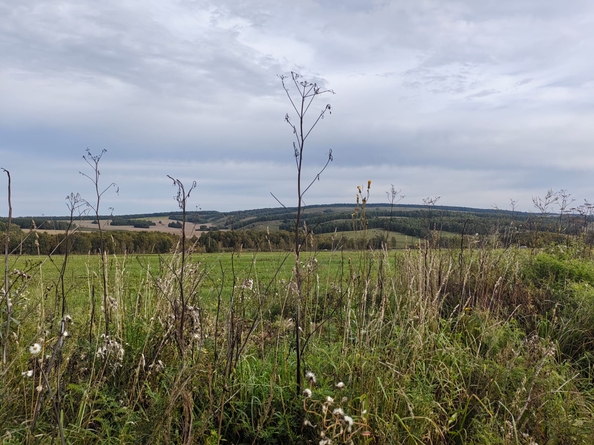 
  Продается земельный участок, 9 соток, ДНТ Заречье
. Фото 1.