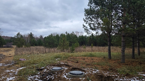 
  Продается земельный участок, 50 соток, деревня Сухая деревня
. Фото 5.