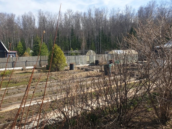 
  Продается дача 24 м². Фото 5.