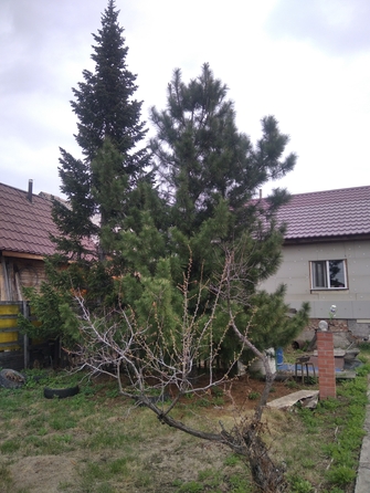 
  Продается дом 65 м². Фото 1.