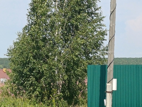 
  Продам земельный участок 16 соток. Фото 6.