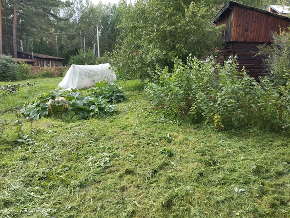 
  Продам дачу 86 м². Фото 18.