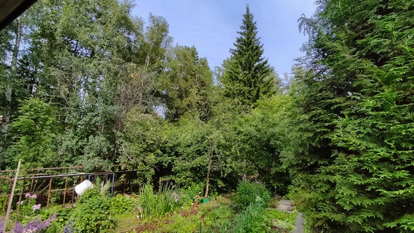 
  Продам дачу 42 м². Фото 25.
