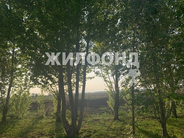 
   Продам дом, 300 м², Барнаул

. Фото 21.