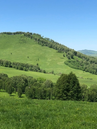 
  Продам  коммерческую землю, 150000 соток, Солонешное

. Фото 4.