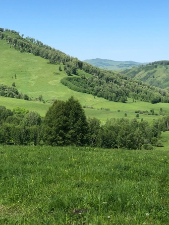 
  Продам  коммерческую землю, 150000 соток, Солонешное

. Фото 16.