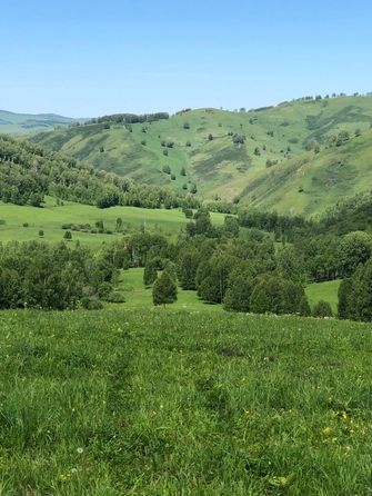 
  Продам  коммерческую землю, 150000 соток, Солонешное

. Фото 17.