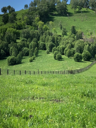 
  Продам  коммерческую землю, 150000 соток, Солонешное

. Фото 19.