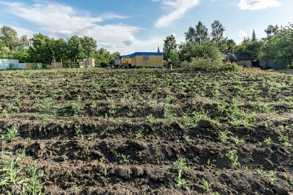 
  Продам  дачный участок, 10 соток, Лебяжье

. Фото 6.