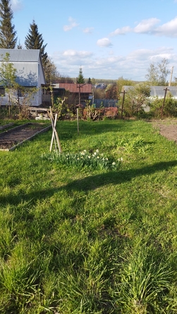 
  Продам  дачный участок, 8 соток, Медик

. Фото 6.