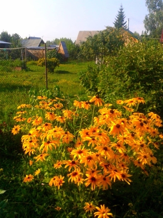 
  Продается дача, 60 м², СНТ сдт Виктория
. Фото 19.