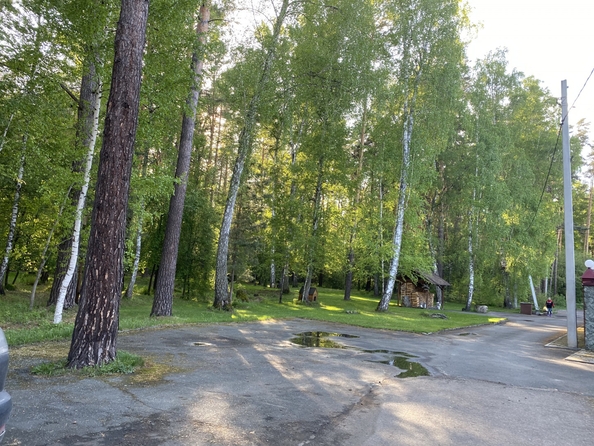 
  Продается дом, 300 м², село Лебяжье
. Фото 14.