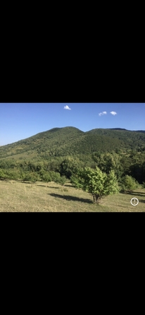 
  Продам земельный участок, 450 соток, село Черновая
. Фото 3.