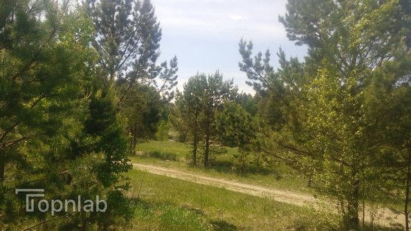 
  Продается земельный участок, 5800 соток, село Баюновские Ключи
. Фото 16.