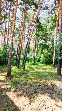 
  Продается гараж, 55 м², Лесная ул, д. 10
. Фото 3.