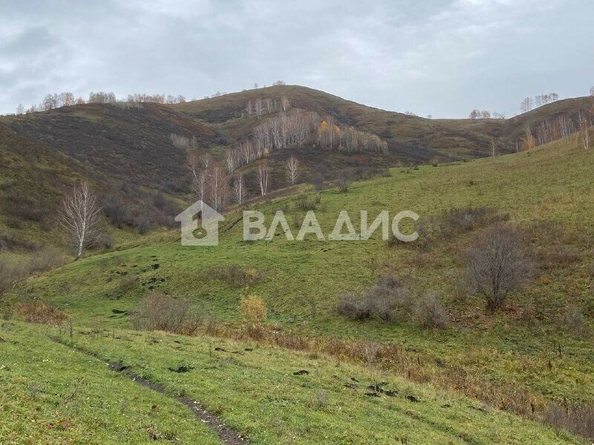 
  Продается земельный участок, 16230 соток, село Солонешное
. Фото 2.