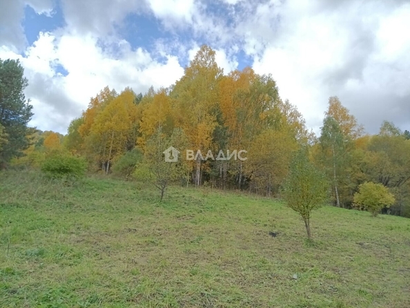 
  Продается земельный участок, 318.27 соток, Белокуриха
. Фото 3.