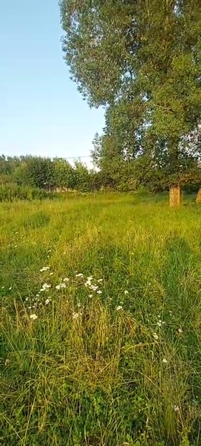 
  Продается земельный участок, 23.5 сотки, село Ая
. Фото 3.