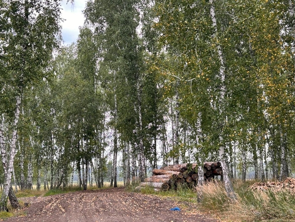 
  Продается производственное помещение, 50 м², Анисимовская ул, д. 8
. Фото 14.