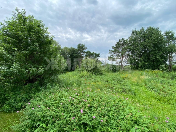 
  Продается дом, 167.8 м², село Лосиха
. Фото 7.