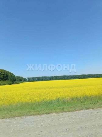 
  Продается земельный участок, 76 соток, село Шадрино
. Фото 3.