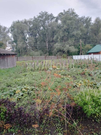 
  Продается дом, 34 м², село Староперуново
. Фото 11.
