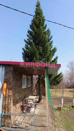 
  Продается дача, 40 м², СНТ Энергетик
. Фото 1.