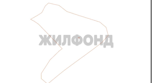 
  Продается земельный участок 76 соток. Фото 6.