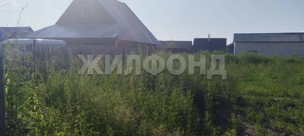 
  Продается земельный участок 5 соток. Фото 5.
