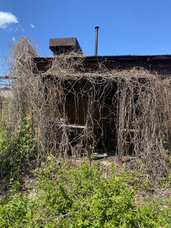
  Продается дача 56 м². Фото 24.