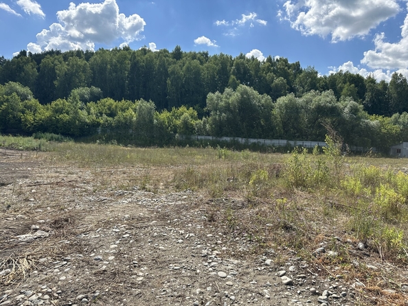 
  Продается земельный участок 76 соток. Фото 9.