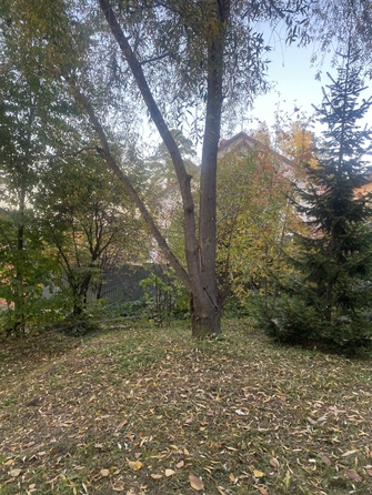
  Продается дом 258 м². Фото 40.